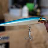 �Ma vendo anche esche artificiali e tra tutte � questa � la pi� introvabile � ci dice il titolare mostrandoci un piccolo pesciolino azzurro �. � stato commercializzato trent�anni fa e il fatto che non sia pi� prodotto ha portato il suo prezzo a 45 euro. Chi lo acquista per� pu� essere sicuro di poter pescare esemplari belli grandi�